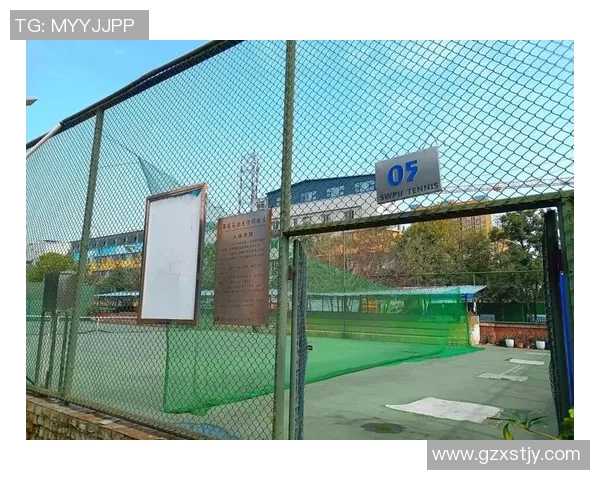 成都网球队的意识提升与发展探讨聚焦网球运动的未来与挑战