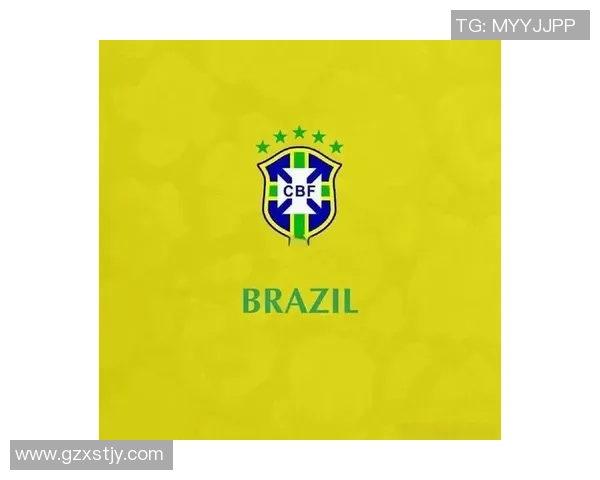 足球明星安内马尔对青少年足球发展的影响与启示